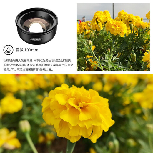 apexel 专业手机微距镜头外置高清百微100mm直播昆虫花卉珠宝多肉近远离拍摄单反摄像头苹果安卓 专业近距离拍摄百微外置微距手机镜头+星光+CPL