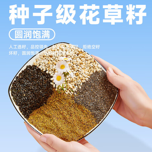 YEE probiotic full price parrot special food tiger skin black phoenix peony small sun bird food nourishing pill bird food parrot feed 1000g black phoenix special grade feed