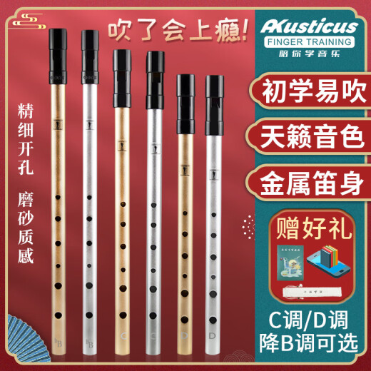 杉贝爱尔兰哨笛C调D调笛子儿童初学者高音直笛竖笛六孔乐器 标准款D调黑色+丰富