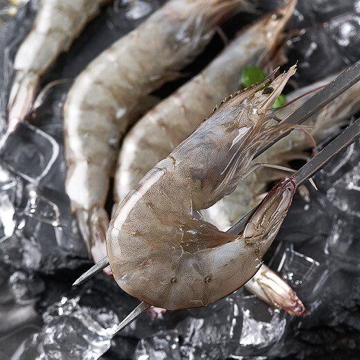 PHUKEY SEA Large Ecuadorian Frozen Vannamei Shrimp Only Separated Seafood and Aquatic Products 3Jin Jin is equal to 0.5kg (31-40/KG)