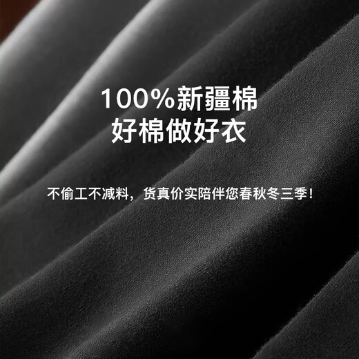 Septwolves Antibacterial Autumn Clothing Men's Autumn and Winter Pure Cotton Bottoming Tops Men's Thermal Underwear Cotton V-neck Cotton Sweater