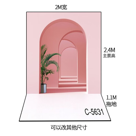 Er Jiangong Customized Live Broadcast Room Wall Tuch Männer und Frauen Bekleidungsgeschäft HD 3D Dreidimensional Douyin Kuaishou Videokamera Live-Hintergrundtuch Champagner Farbe Z-1283 HD verdickte 2x3,5 m