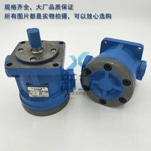 Jingsenzhen medium pressure vane pump YB-D6.3 YB-D100