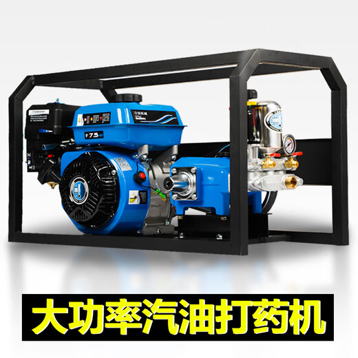 日锐汽油打药机农用高压新式喷雾器新型免黄油电启动农药机喷药机 26新型打药机蓝色电启动免黄油 +200米管