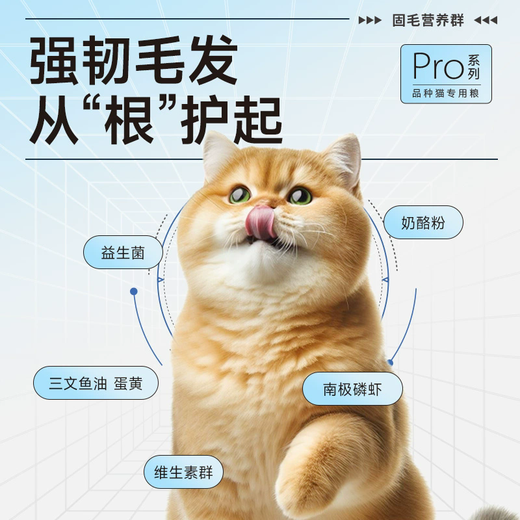 Wilson Greedy Golden Gradient Special for Kittens and Adult Cats Full Price Full Period Golden Gradient Cat Food Floss Food Pro Series Solid Hair + Brushed Chicken Floss 8kg 2kg*4 Packs for Stocking