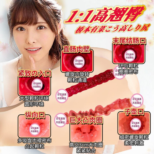 NPG airplane cup, adult sex toy, male masturbation device, real vagina and butt mold, extremely high waist 4, Hashimoto Arina, imported from Japan, famous device certificate, double channel big butt