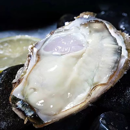 Fresh Jingcai Fresh Oysters 3XL Net weight 5Jin Jin is equal to 0.5kg 13-18 pieces Fresh to your home Fresh seafood Straight from the source