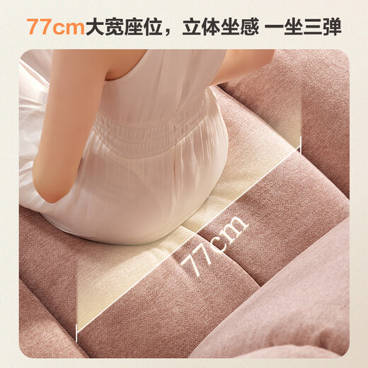 
Lezhibao LAZBOY fabric sofa living room creamy wind waterproof and anti-fouling function Queenstown similar style Windsor Castle 675 Rose powder-2m-large-2 person double electric