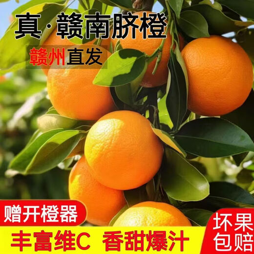 Frische Jinan-Orangen aus Jiangxi, Gannan-Navel-Orangen, frische Orangen aus dem Obstgarten und frisches Obst, Geschenkbox zum Gruppenkauf für die Neujahrsfeiertage. Nettogewicht: 9 Jin Jin entspricht 0,5 kg. Premium-Orange 160–220 g
