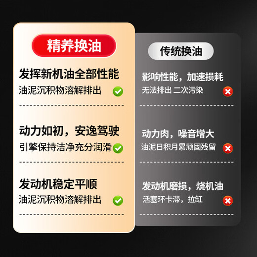 LIQUI MOLY German original imported engine internal cleaning agent plus oil additive 300ml automotive supplies