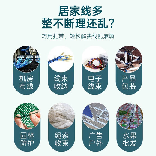 山泽 自锁式尼龙扎带 线缆电脑桌面装机 园艺理线束线捆扎多功能绑带 专业自锁式 透明尼龙扎带 100根【100*2.5mm】HZD-12