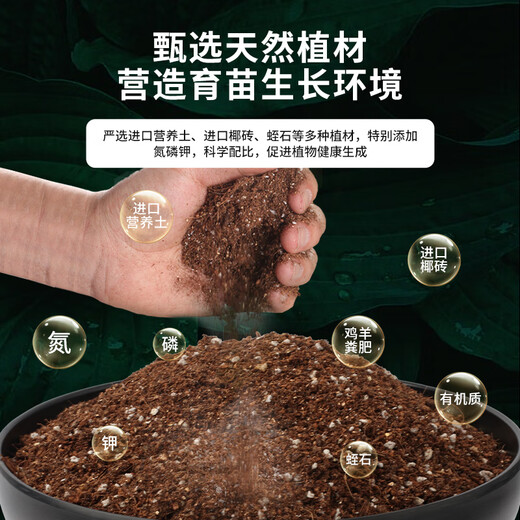 Dewoduo seedling special plant nutrient soil 25L gardening green plant flower soil flower soil planting soil composite organic matrix soil