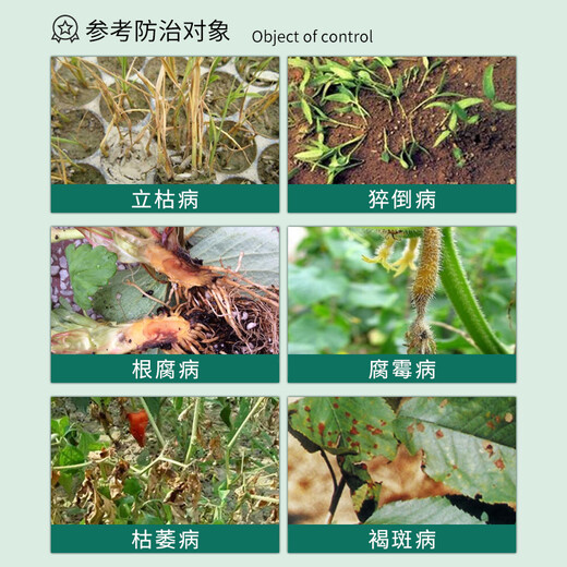 Guoguang Jianzhi 30% рафинированный металаксил и гимексил, фунгицид для цветов и корней растений, увядание и увядание почвы, 200 мл