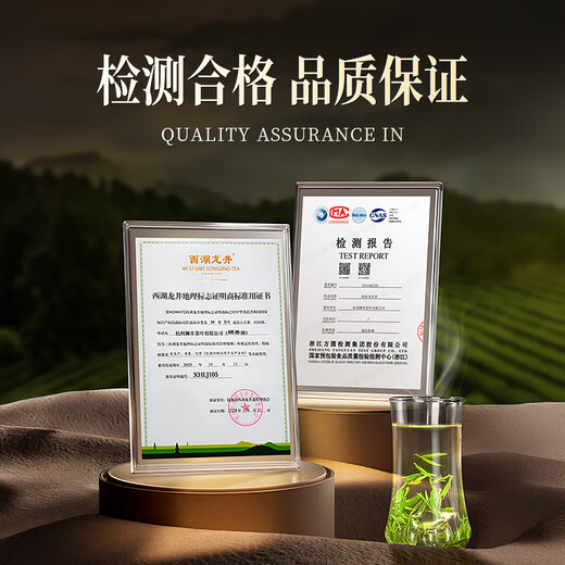 West Lake Shijing 2025 New Tea Mingqian Special West Lake Longjing Tea Gift Box 200g Regalos de té verde para ancianos Líder Padre