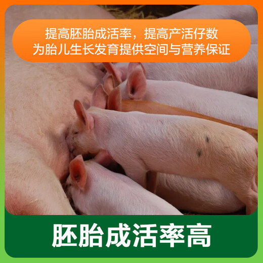 East China Zhengda 4% Pregnant Sow Compound Premix Reproduction Reserve Pregnancy Period Milk Increase Pregnant Sow Special
