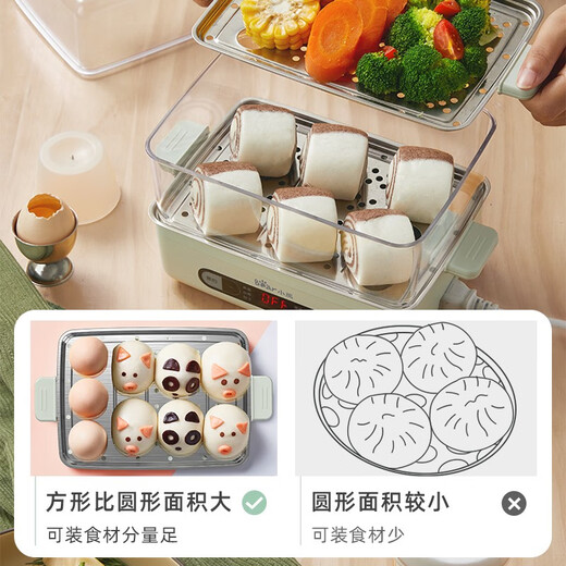 小熊（Bear）煮蛋器 蒸蛋器 智能电蒸锅小型2-3人用自动断电 家用多功能早餐机煮鸡蛋神器ZDQ-B06N3 