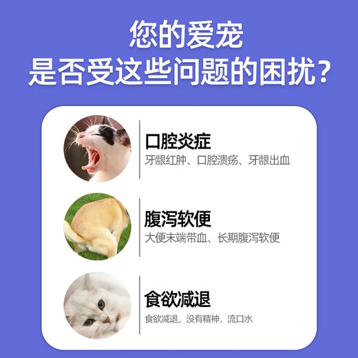 Metronidazole Cat and dog stomatitis, bad breath, oral ulcers, red and swollen gums, periodontitis, trichomonas infection, diarrhea, loose stools, bloody stools, stomatitis package, metronidazole tablets + amoxicillin tablets