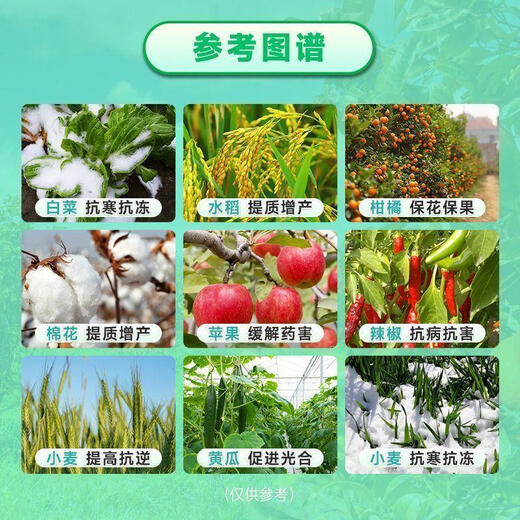 Aminobutanol foliar fertilizer, disease resistance, rooting, fruit trees, vegetables, flower preservation, fruit yield increase, plant growth regulator, cold resistance, growth promotion 10g *10 bags