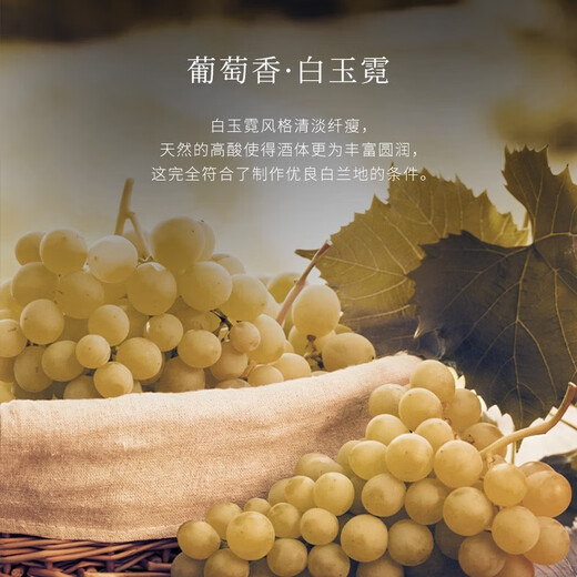 派斯顿法国进口洋酒白兰地XO40°烈酒礼盒金葫芦原酒进口 整箱装 700mL 6瓶