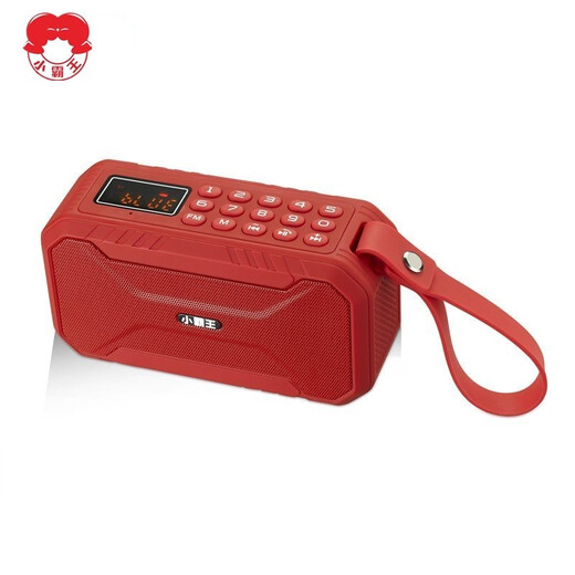 Xiaobawang D100 Bluetooth speaker mini subwoofer with radio outdoor portable card U disk square dance small audio player for the elderly black without card