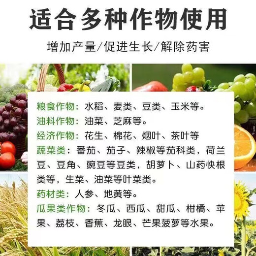 Brassinolide Plant Growth Regulator Natural Brassinolide High-efficiency Fruit Preservation and Yield Increase Foliar Fertilizer 10g