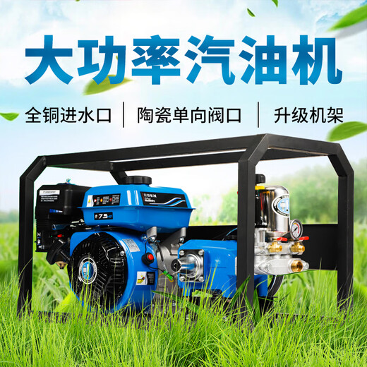 日锐汽油打药机农用高压新式喷雾器新型免黄油电启动农药机喷药机 26新型打药机蓝色电启动免黄油 +200米管