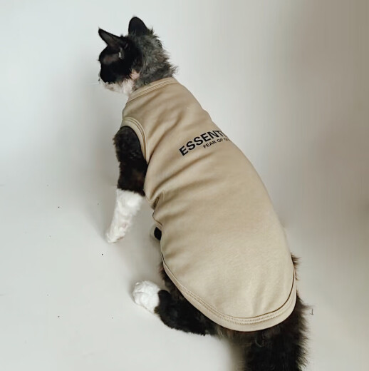 Miaopule Hairless Cat Vest Summer German Hairless Sphynx Cat Clothes Summer Pure Cotton Trendy Brand American Pet Vest Dark Gray M (4 to 6 Jin [Jin equals 0.5 kg]) For other varieties, please ask customer service