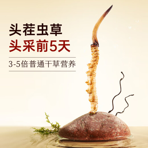 Ayishe Cordyceps Sinensis New Dried Cordyceps 3-4 roots/g 15g approximately 48 cordyceps gift box nutritional products for elders