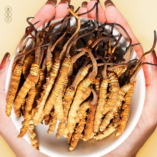 Lei Yunshang [Mid-Autumn Festival Gift] [Naru Qu, Tibet] Cordyceps gift box High-altitude Dried Cordyceps Gift High-end Wooden Gift Box Authentic Tibet Nagqu 3A-level 10g