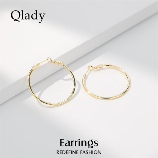Qlady Rose Same Style Earrings Feminine High-end Large Earrings 2025 New Light Luxury Silver Needle Earrings Birthday Gift