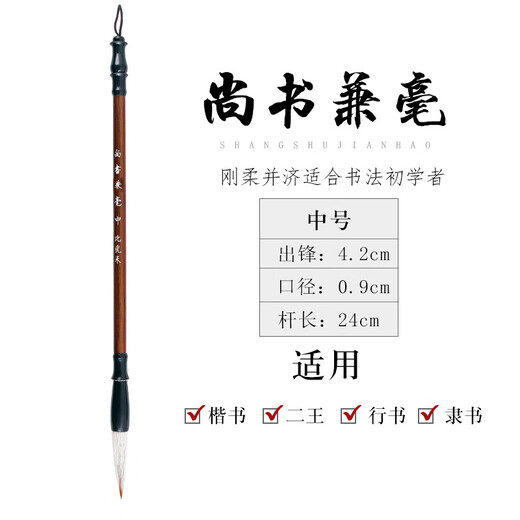 Recording of learning, medium-sized brush calligraphy special and calligraphy practice pen set for beginners, four treasures of the study, large and small regular script, medium and regular script, seal script, Chinese painting, primary school students, children and adults