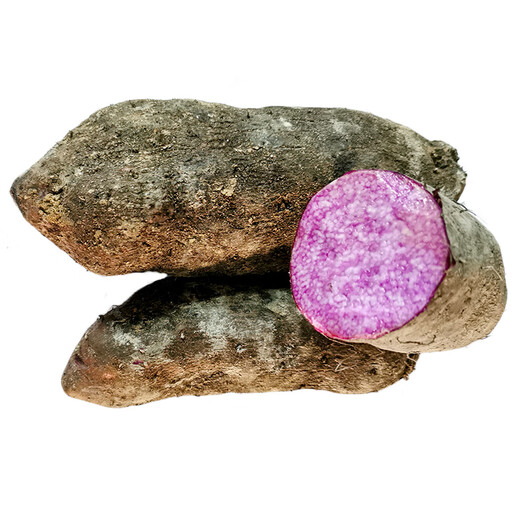 Freshly dug purple yam, leg potato, Huaishan big potato, hairy potato seed, Jiangxi Gannan farm specialty, 5 Jin Jin is equal to 0.5 kg, seedlings, 1 Jin Jin is equal to 0.5 kg