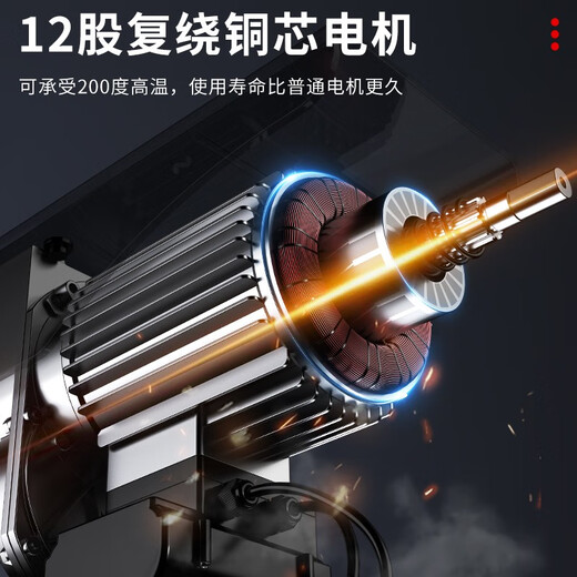 Shanghai Industrial Micro Electric Hoist 220V household small lifting crane hoist 1/0.5 ton small crane PA1200 conjoined 20 meters with 1T6 wheel sports car