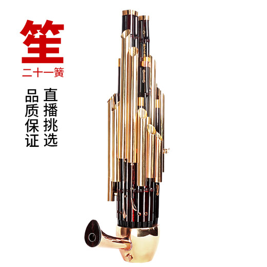 岐为精致加键扩音21簧笙乐器大全圆笙修笙工竽乐器笙包初学者 21簧漆金专业活斗笙【黄管】-D调