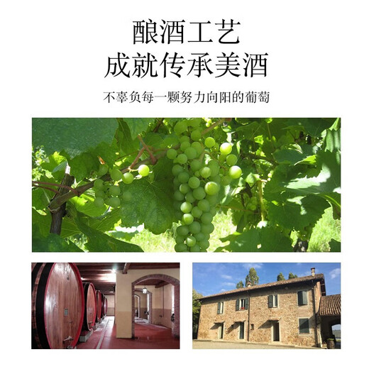 优尼特（Riunite）莫斯卡托甜白起泡酒葡萄酒香槟瓶型气泡酒618百亿盲盒微醺果酒 【80%用户选择】米兰之花单支