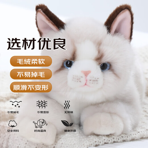 Cometa trapo Ragdoll Cat Plush Toy Doll Doll Doll Adornos almohada Valentín de San Valentín Regalos de curación para novia