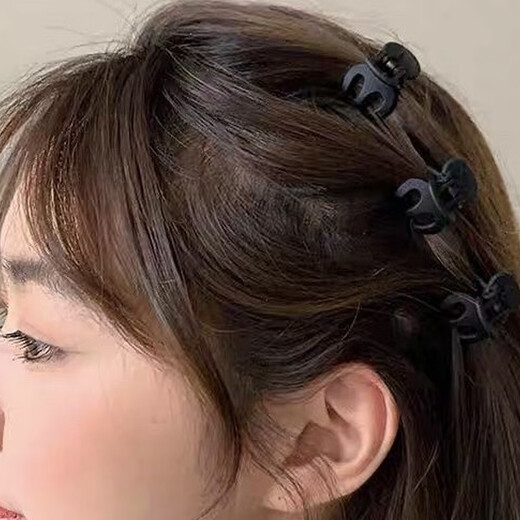 Xiang Wan Hair Clips 10 Pack Princess Head Clips Bangs Clips Frosted Premium Mini Shark Clips Hair Clips for Women