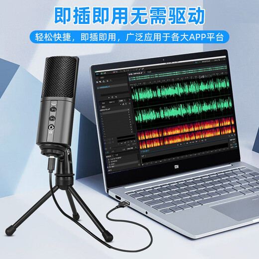 Burren Bell BL520X-USB condenser microphone audiobook special recording equipment professional novel Himalayan mobile phone microphone recitation dubbing broadcast set anchor recording studio grade mobile phone with desktop stand + mobile phone cable set