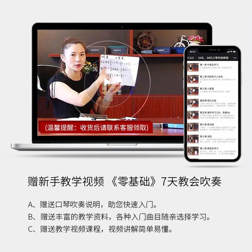 国光上海口琴24/28孔C调复音重音成人专业演奏级儿童老人送礼初学推荐 24孔 高端黄梨色礼盒黑色复音C调