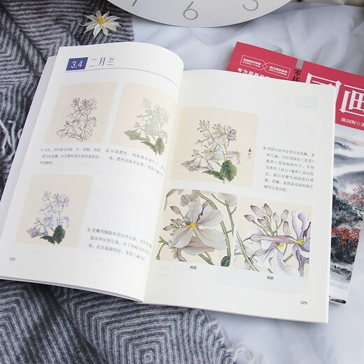 Learn Chinese painting from scratch, freehand brushwork + fine brushwork (2 volumes in total) (Chinese painting techniques from entry to mastery, landscape and ink painting tutorial materials)