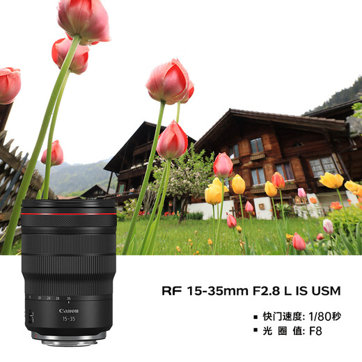 Canon R6 second-generation camera mark2 bird-knocking photography equipment full-frame micro-single vlog camera body 4K shooting set camera R6 second-generation single body +15-35 2.8L IS USM package 1 [Canon camera dedicated video recording card/photography tripod]