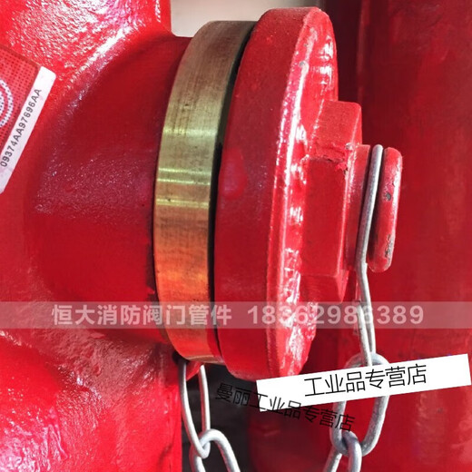 Outdoor fire hydrant accessories copper connector fire hydrant connector plug side cover tooth buckle outlet cover accessories 100/DN65*65*25 fire reel tee