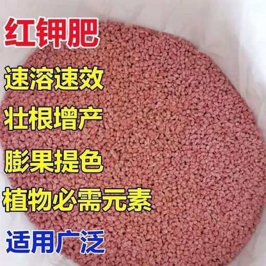 Potash fertilizer wholesale Russian imported high potassium efficient fertilizer general instant fertilizer for agricultural flowers, fruit trees and vegetables red granular potassium fertilizer 10Jin Jin equal to 0.5kg packed Russian imported red potassium (subcontracted)