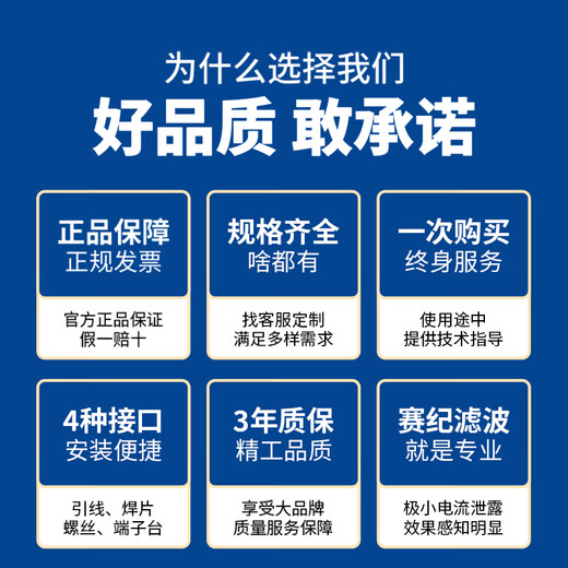 Saiji SJD410D terminal block single-phase DC two-stage filter emi low-pass 220V anti-interference power supply purification SJD410D-6