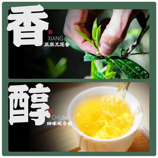 陈一凡特级铁观音清香型 茶叶新茶高山乌龙茶 铁观音传统纸包300g口粮茶