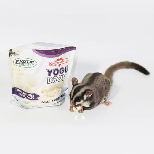 OIMG American YOGU yogurt granules Exotic sugar glider yogurt drops squirrel rat chinchilla snacks cheese granules American exotic original cheese granules 50g (packaged)