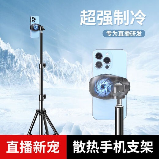 TLXT mobile phone radiator, live broadcast dedicated tripod, semiconductor ice-sealed refrigeration, back clip frame, cooling artifact fan, hot-selling model H15 radiator (silver)