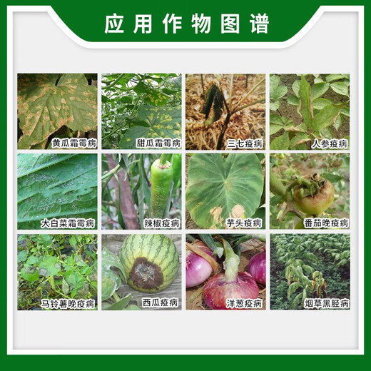 Bayer Yinfali mesocarb hydrochloride late blight cabbage downy mildew pesticide fungicide 1L 25ml