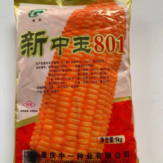 Chongqing Zhongyi Industry Xinzhongyu 801 corn seeds are of high purity. One Jin Jin in bulk is equal to 0.5 kg.