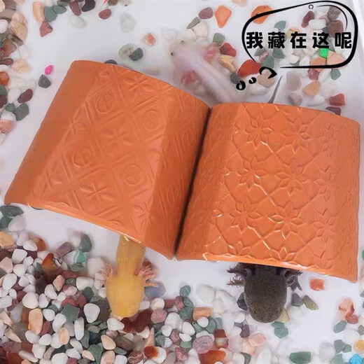 Han Chang Hexagonal Dinosaur Fish Hideaway Decorated Fish Tank Landscaping Turtle Breeding Newt Pet Fish Ornamental Ornament 5 Aquatic Plants Randomly Delivered